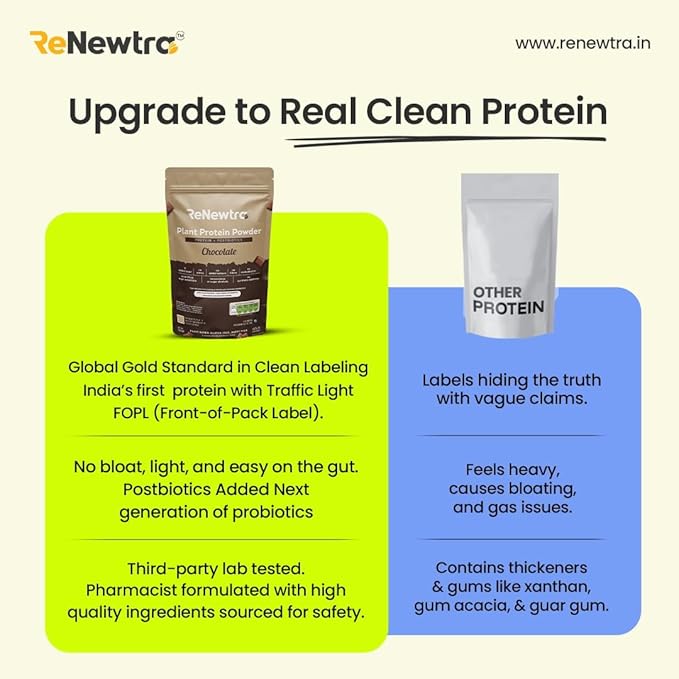 Plant Protein Powder